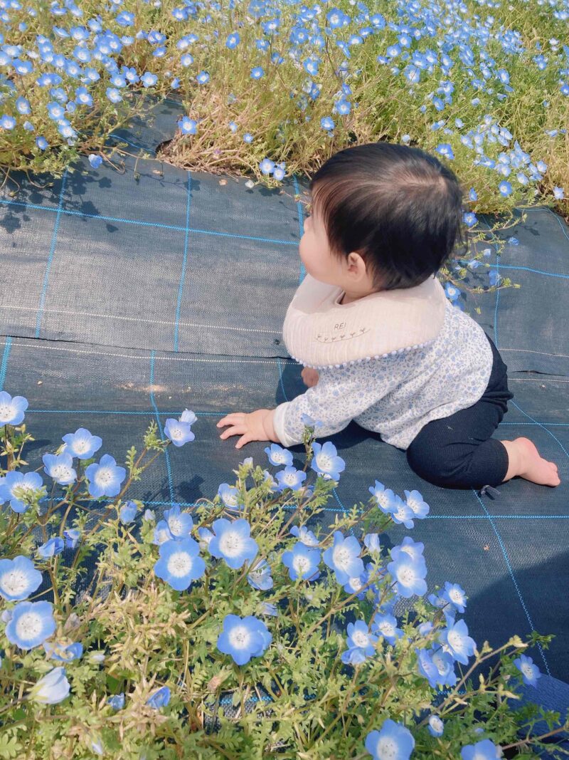 花の駅　ネモフィラ